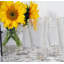 Napoleon Bee Drinking Glass