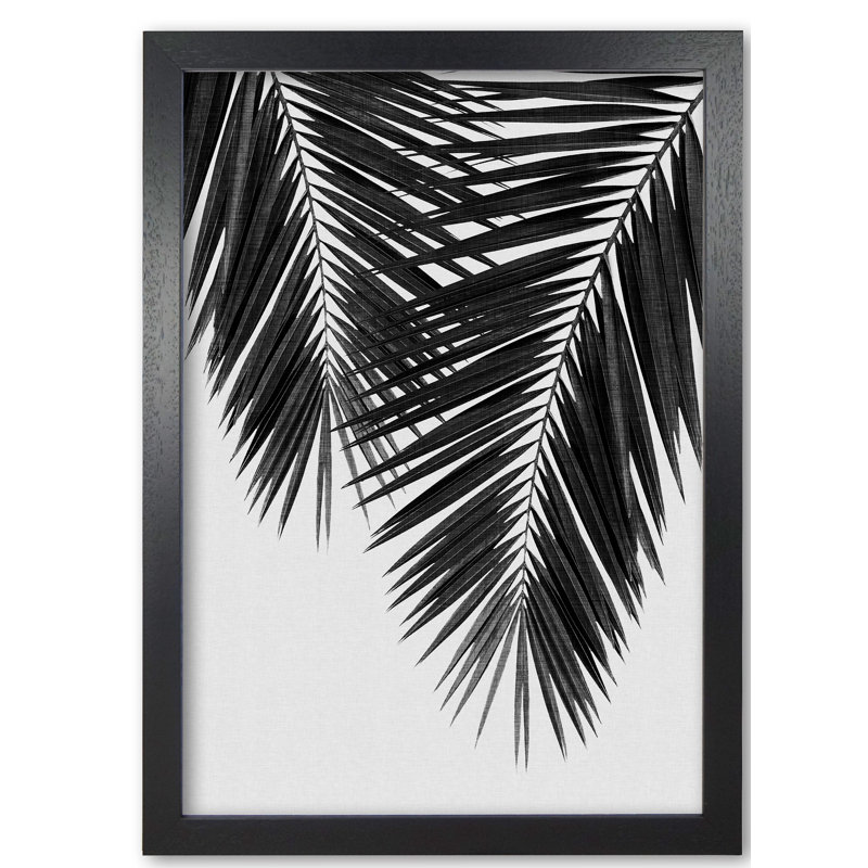 PaIm Leaf II - Print, 60 cm H x 42 cm W x 5 cm D, Black Grain Frame