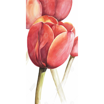 Blossoming tulips closeup - 15.75"x31.50" Desk mat
