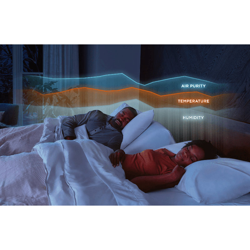 Ergo® ProSmart Adjustable Base, Extra-long Twin