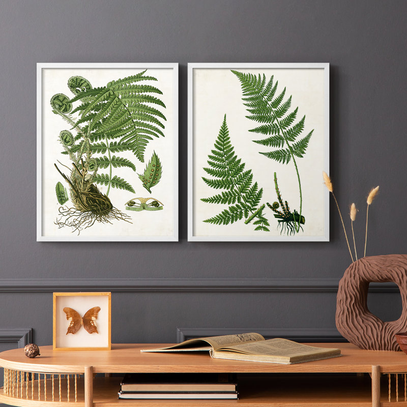 Impression encadrée Fern I-Premium - prête à être accrochée - aucun clou requis - aucun clou requis, Blanc, H 11 po x l 18 po