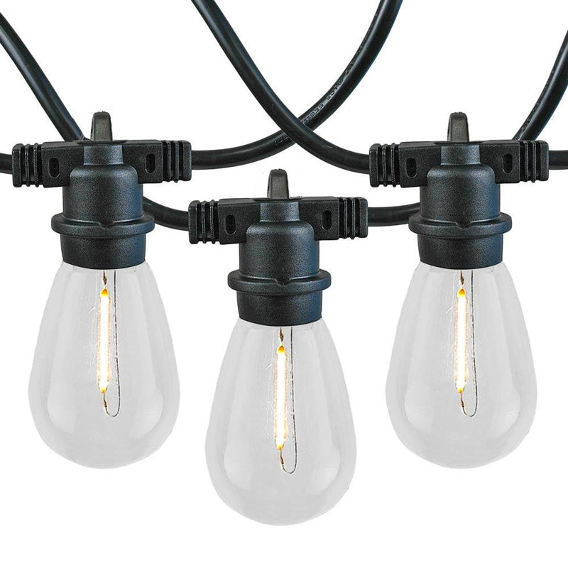 Amher Outdoor 48 - Bulb 48'' Plug-in Globe String Light, Black