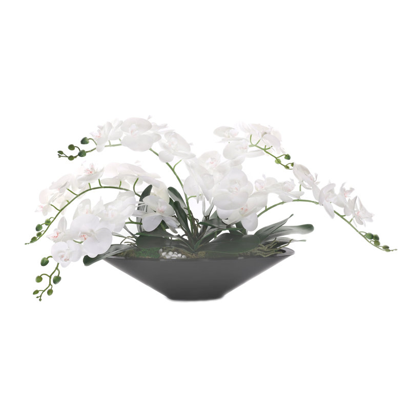 Orchid Arrangement in Pot