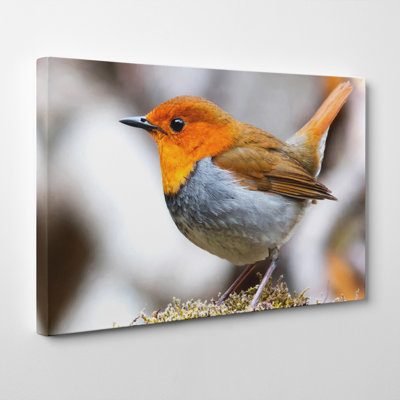 Wrapped Canvas Print