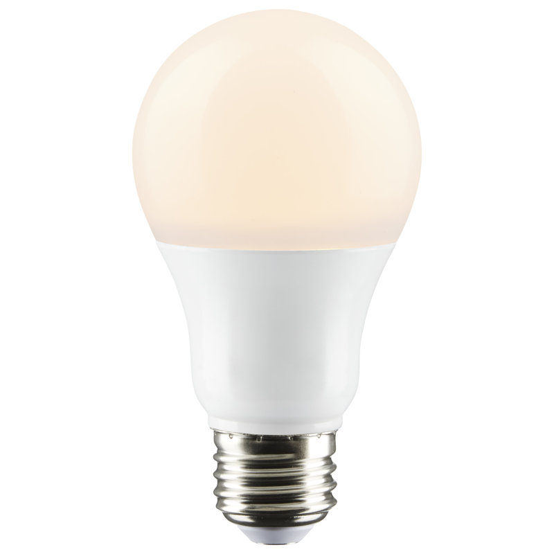 Dimmable Frosted White A19 LED Edison Bulb for Commercial Use