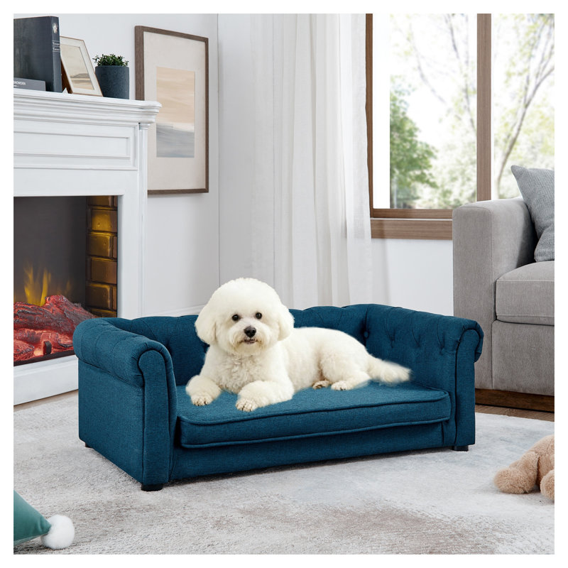 Canapé-lit surélevé de luxe pour petits et moyens chiens - Élégant canapé pour animaux de compagnie bleu avec coussin en mousse durable