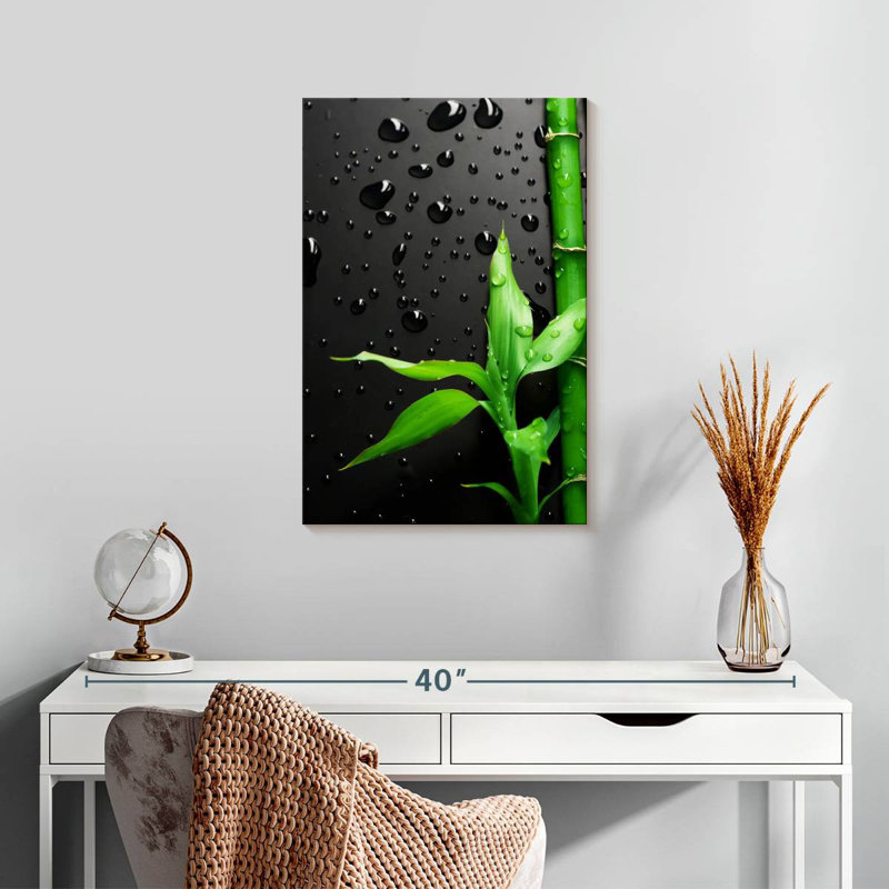 Harnek Bamboo Stick, 24" H x 16" W