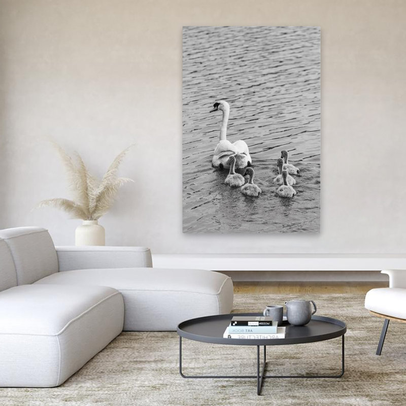 Suivez le chef - cygne bébé noir et blanc sur fond blanc, H 60 po x l 40 po