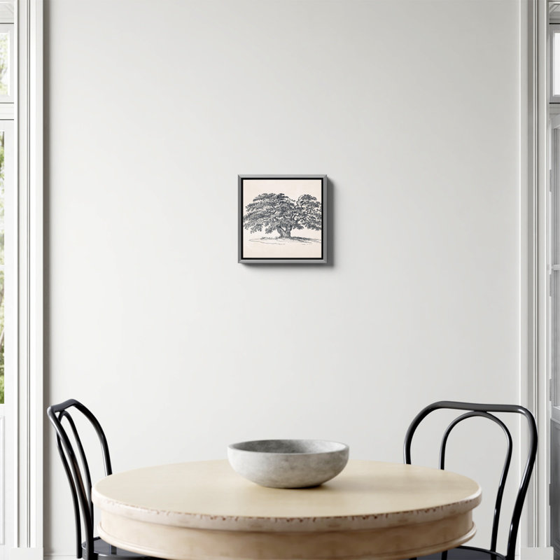«Wide Oak Tree S Croquis» par Apolo, Non, H 12 po x l 12 po, Toile argentée avec cadre flottant