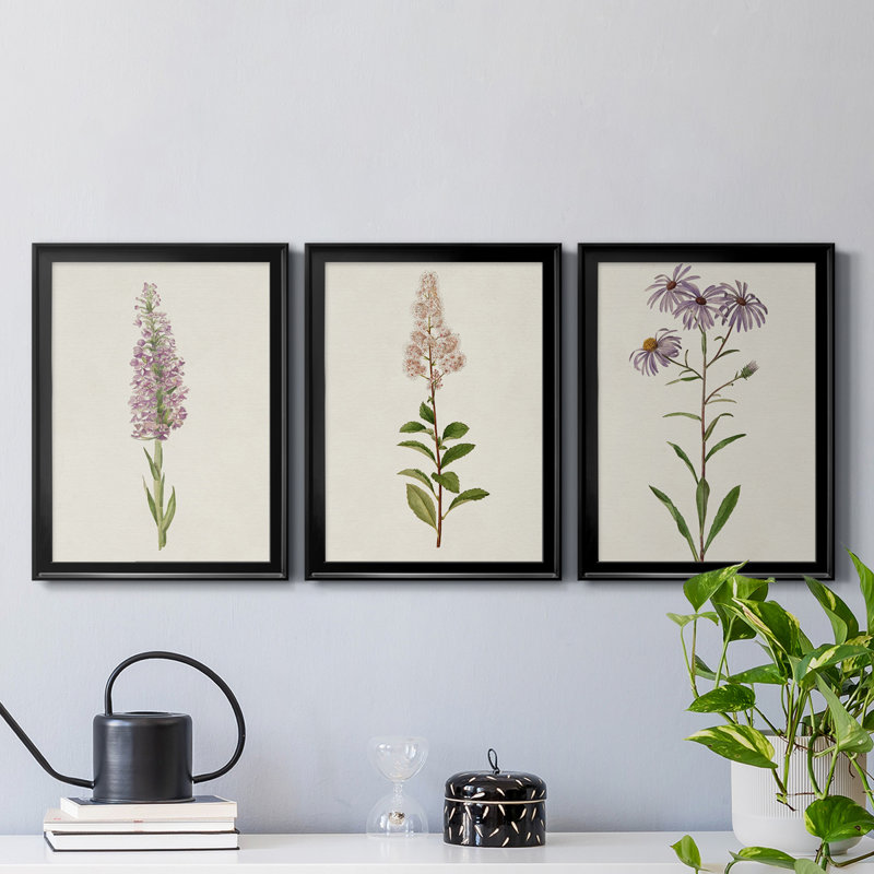 " Mauve Garden Flowers I " 3 - Pieces Painting Print, Black, 42.5" H x 30.5" W x 1" D, No Mat