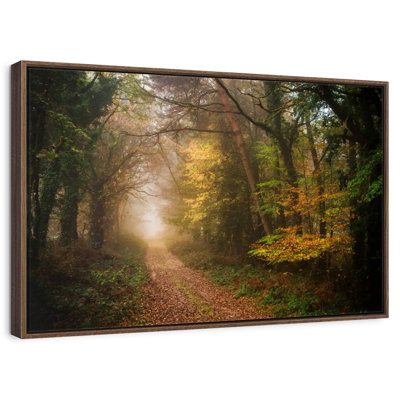 Chemin dans la forêt d'automne