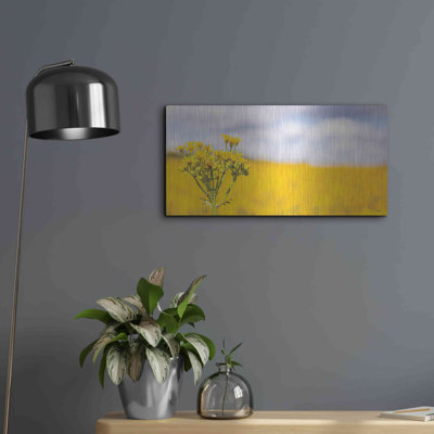 Field Of Yellow II' by Donnie Quillen, Metal Wall Art