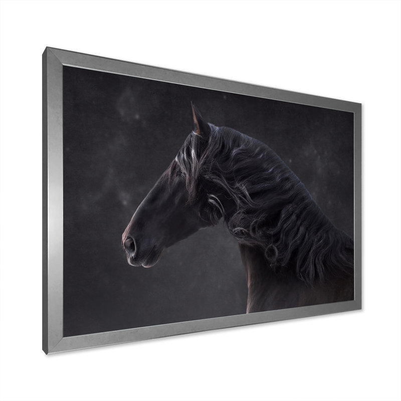 Portrait d'un cheval andalou - Photographie sur toile, H 24 po x l 32 po, Cadre photo argenté