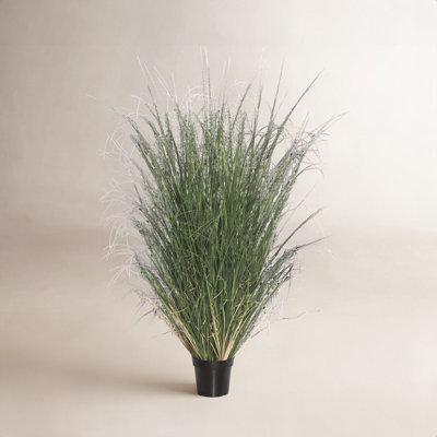 Gazon vert en pot Kellan