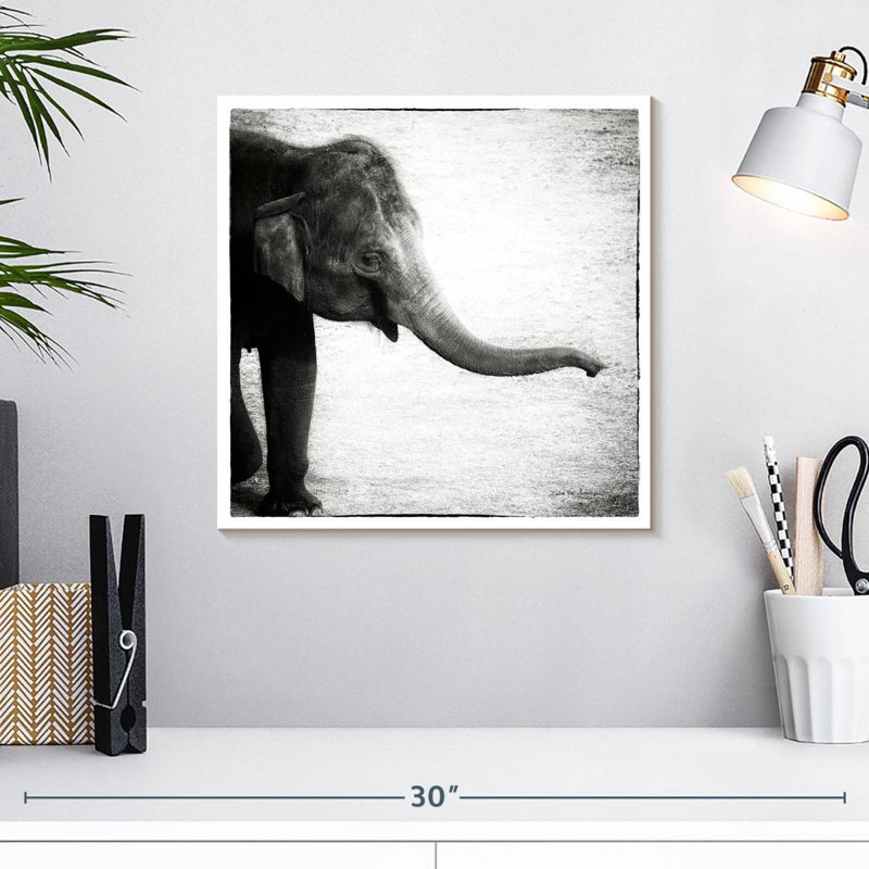 Crowle bébé éléphant monochrome, H 16 po x l 16 po