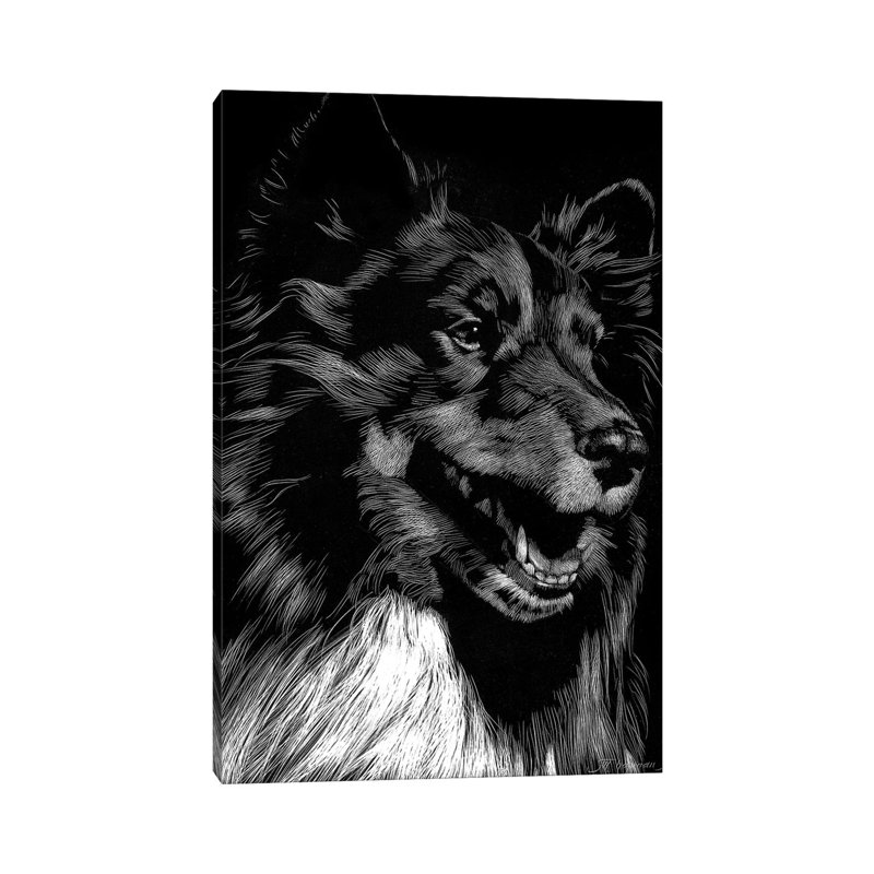 Canine Scratchboard X by Julie T. Chapman - Wrapped Canvas Print, 20.32 cm H x 30.48 cm W