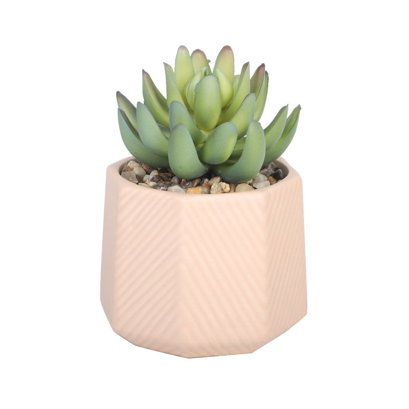3.62cm Faux Succulent in Ceramic Pot
