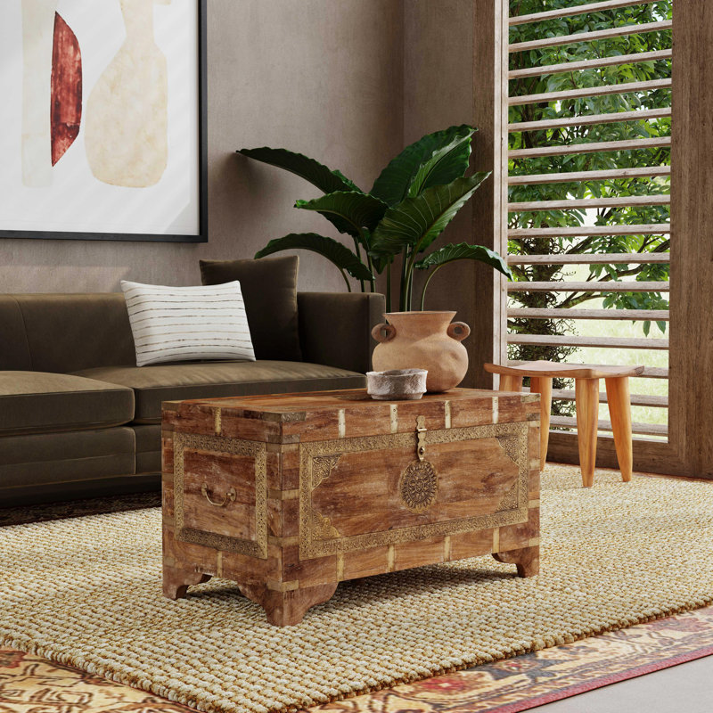Aydan 4 Legs Coffee Table with Storage, Light Brown/ Gold
