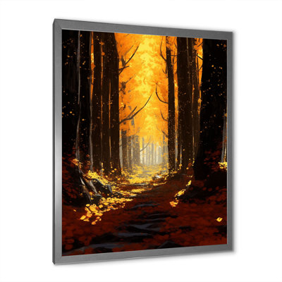 " Warm Autumn Sunlight Shining In The Forest "