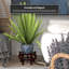 Vase-913585960