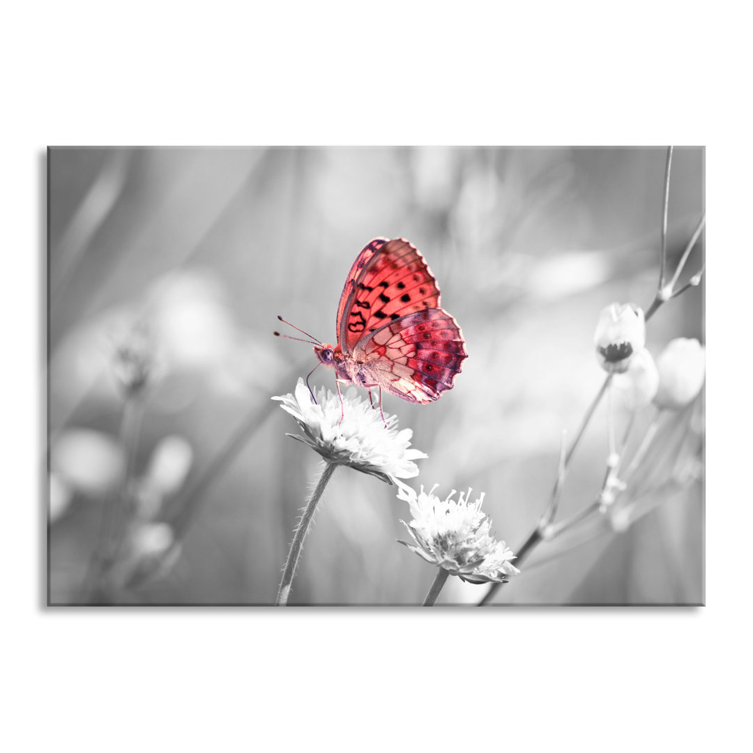 Glasbild Schmetterling auf Blüte