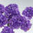 Medium Amethyst Clustered Gemstone Tree on Amethyst Matrix (The Protection Tree)