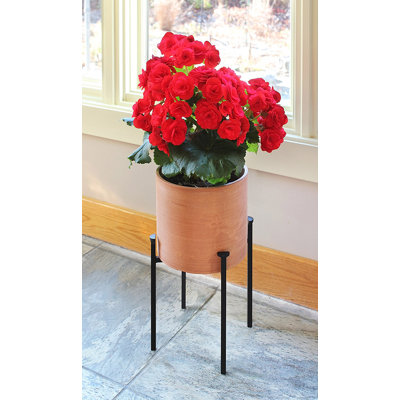Support pour plante Martamique