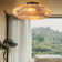 Aadhyasri 20" Rattan Caged Ceiling Fan With Light Kit And Remote Control