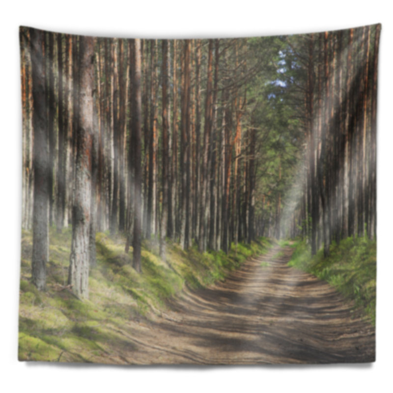 Belle route à travers une forêt moderne tapisserie, H 68 po x l 80 po