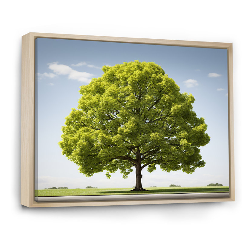 American Basswood Elegance sur impression sur toile, H 16 po x l 32 po x P 1 po, Cadre flottant naturel