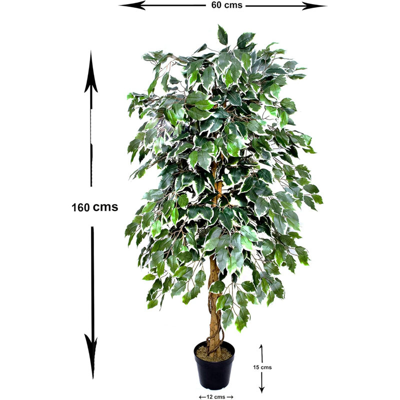 Premium Artificial Variegated Ficus Tree Potted Plant