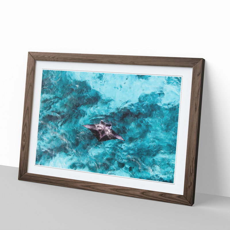 Manta Ray - Picture Frame Painting, 36cm H x 48cm W x 2cm D, Walnut Framed