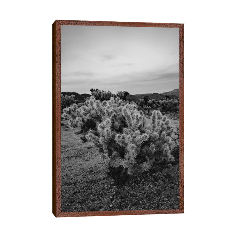 Cholla Cactus Garden IX by Bethany Young - Print on Canvas, Classic Brown Wood Framed, 101.6cm H x 66.04cm W x 3.81cm D