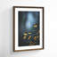 Moody And Bright by F2images-1138298770-1138298775