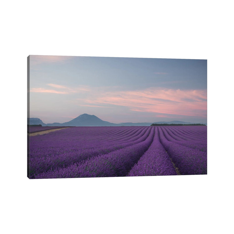 Lavender Field by Rostovskiy Anton - Wrapped Canvas Gallery-Wrapped Canvas Giclée, 66.04 cm H x 45.72 cm W x 1.91 cm D