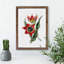 Red & Black Tulip Flowers - Wall Art-48234014-48234017