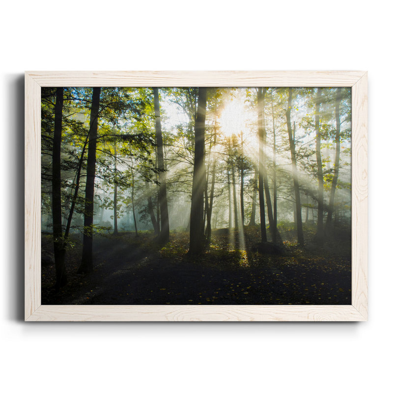 Lumière et arbres - Toile encadrée de qualité supérieure - prête à être accrochée, H 31,5 po x l 23,5 po x P 1,5 po, Blanc