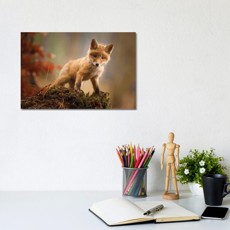 Renard par Robert Adamec - reproduction de photo, Toile tendue, Aucun mat, H 8 po x l 12 po x P 0,75 po