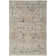 Rectangle  Floral Power Loomed Area Rug in Gray/Tan/Brown