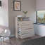 Commode 4 tiroirs Pérou, plateau supérieur, 1 tablette ouverte - gris clair / blanc