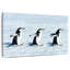 Pingouins d'hiver-567544304