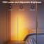 Lampe de plancher DEL de coin-107135665