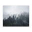 No Frame Print on Canvas-441363588