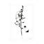 Art mural sur toile Foxglove-101099443