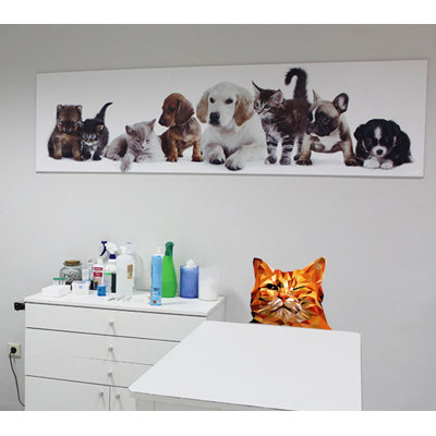 Animals Wall Decal