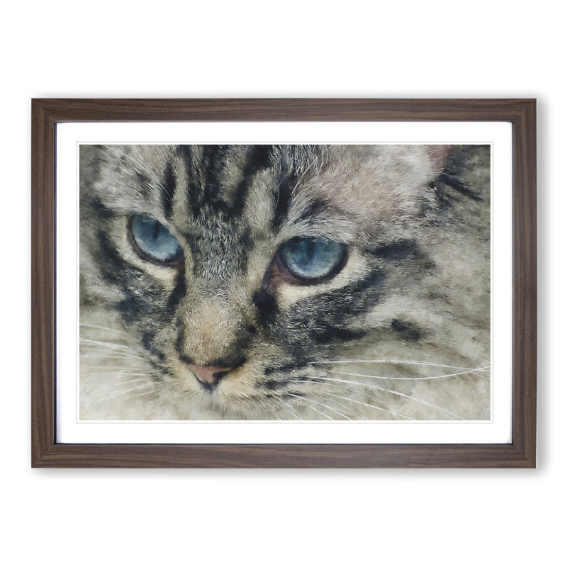 Portrait of a Cat Vol.14 - Picture Frame Painting, 36cm H x 48cm W x 2cm D, Walnut Framed