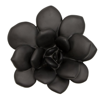 Laui Succulent Wall Decor