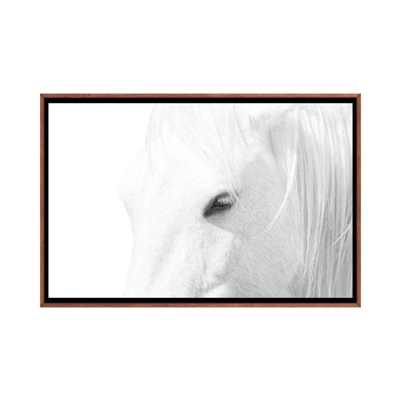 « Cheval blanc » par Marco Carmassi-impression d’art graphique, Pas de tapis, H 40 po x l 60 po x 1,5 po