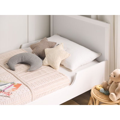 Novelty Cushion