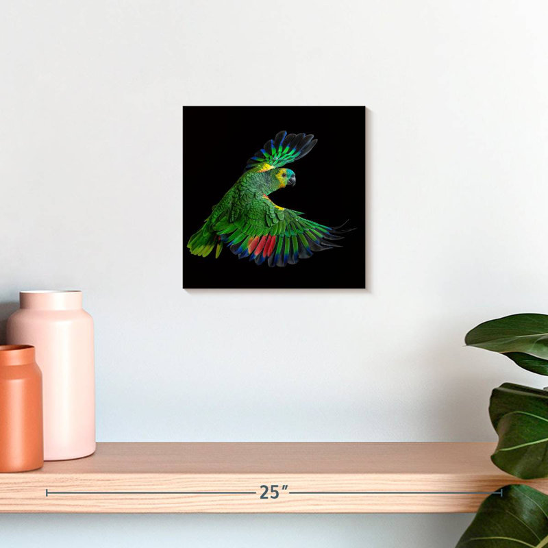 Brampt Flying Parrot, 10" H x 10" W